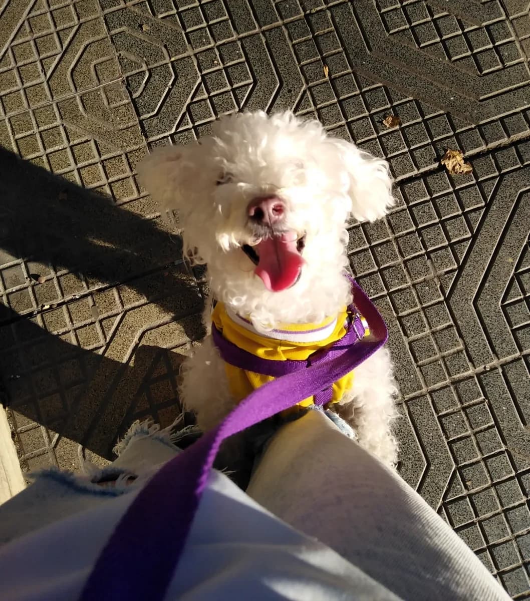 Martina L. 3