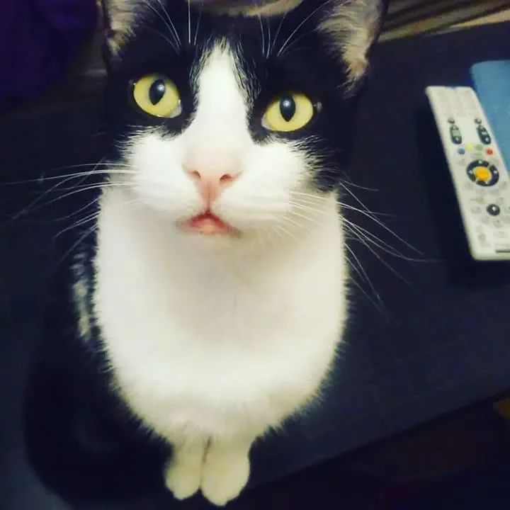 Melody C. 5