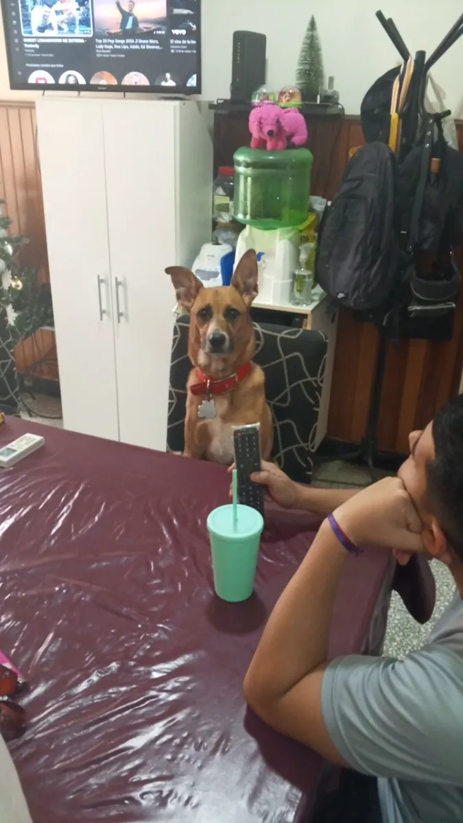 Foto de Maximiliano Q.