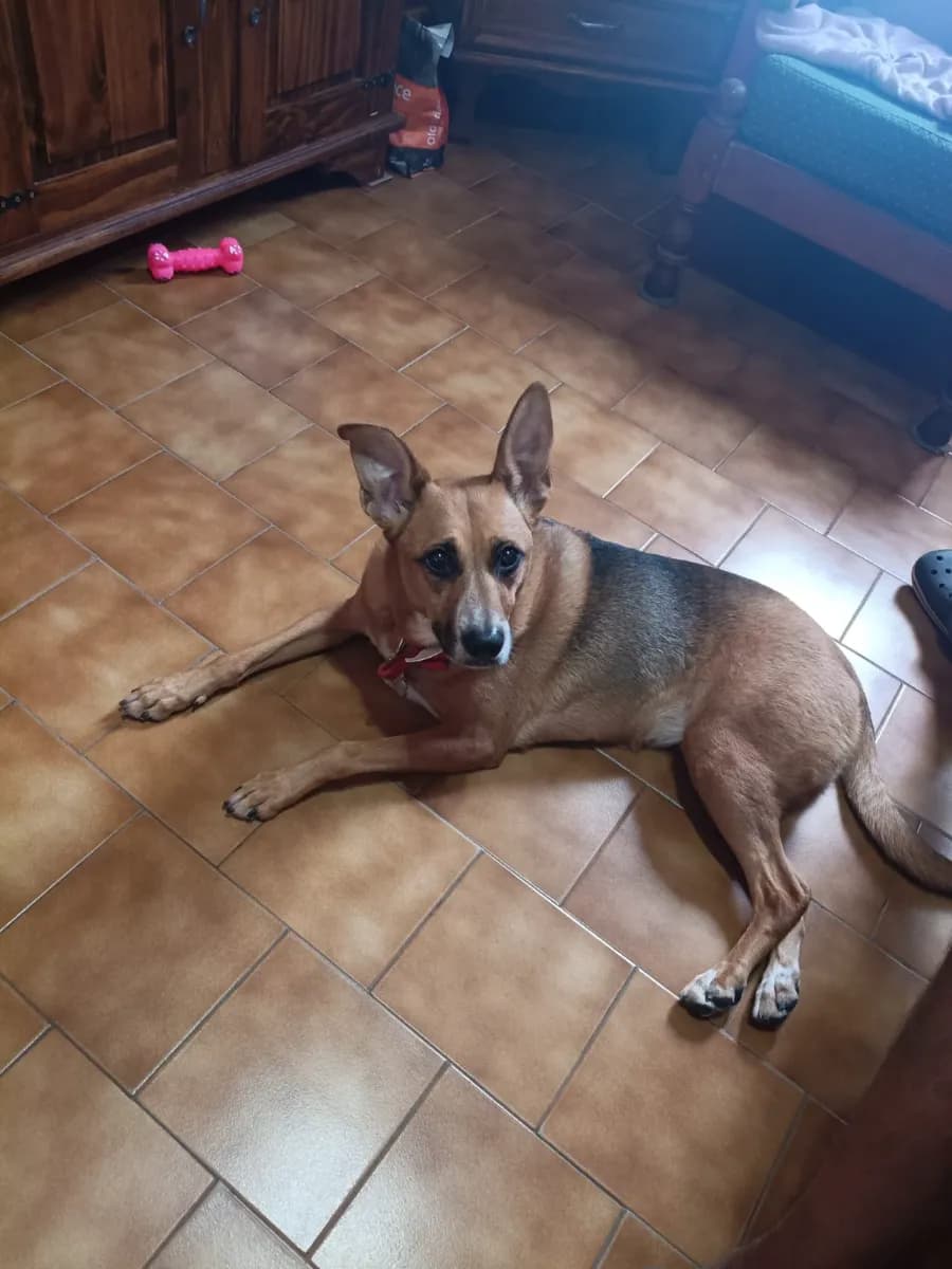 Foto de Maximiliano Q.