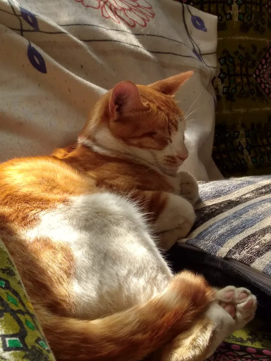 Foto de Luna Abril O.