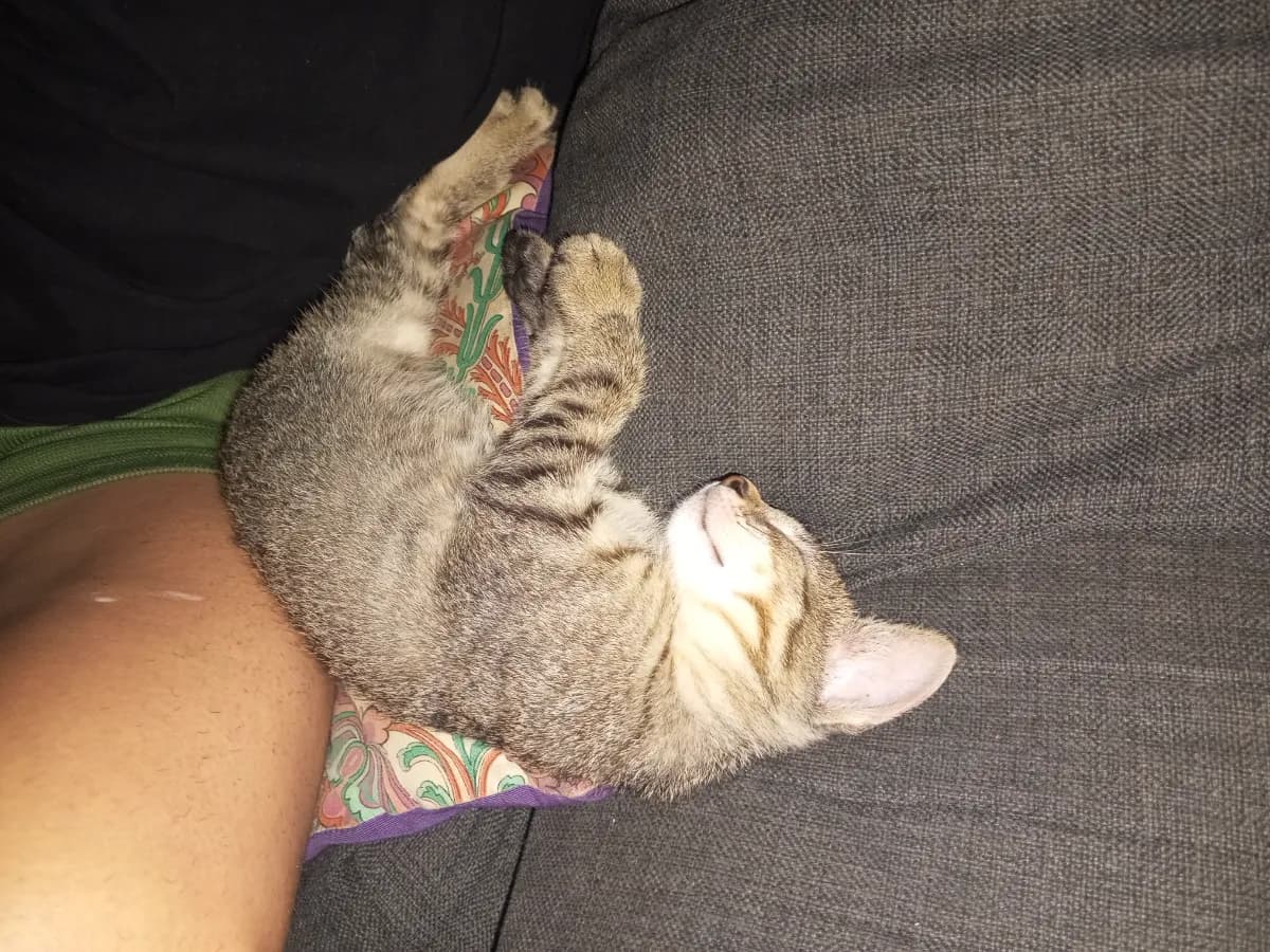 Foto de Maximiliano Q.