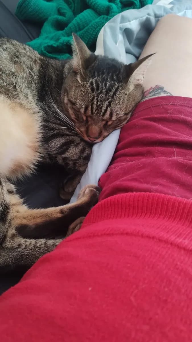Foto de Malena M.