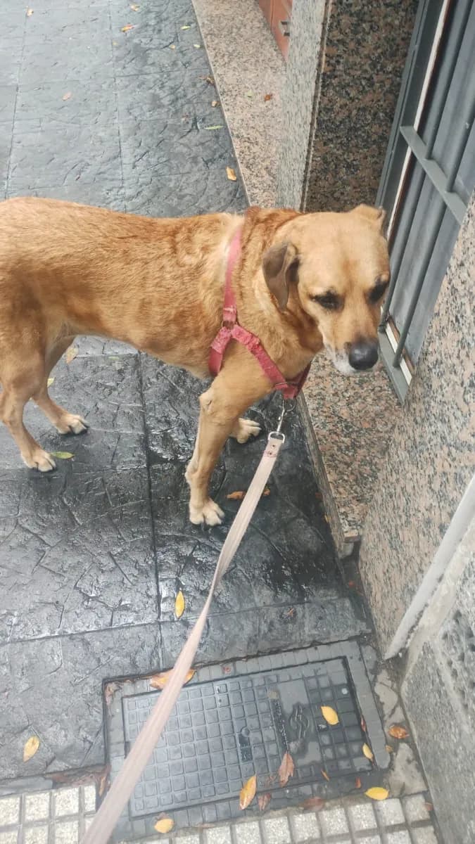 Foto de Malena M.