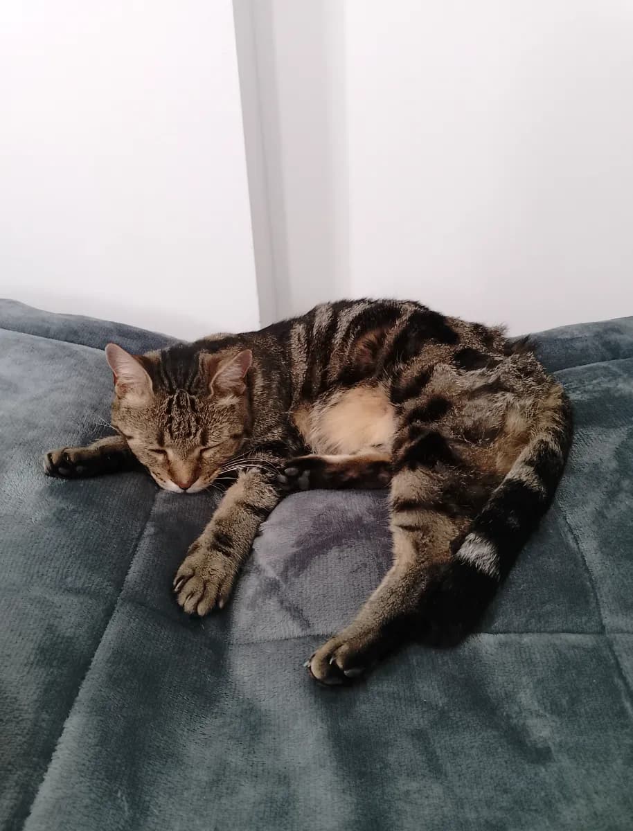 Foto de Agustina R.