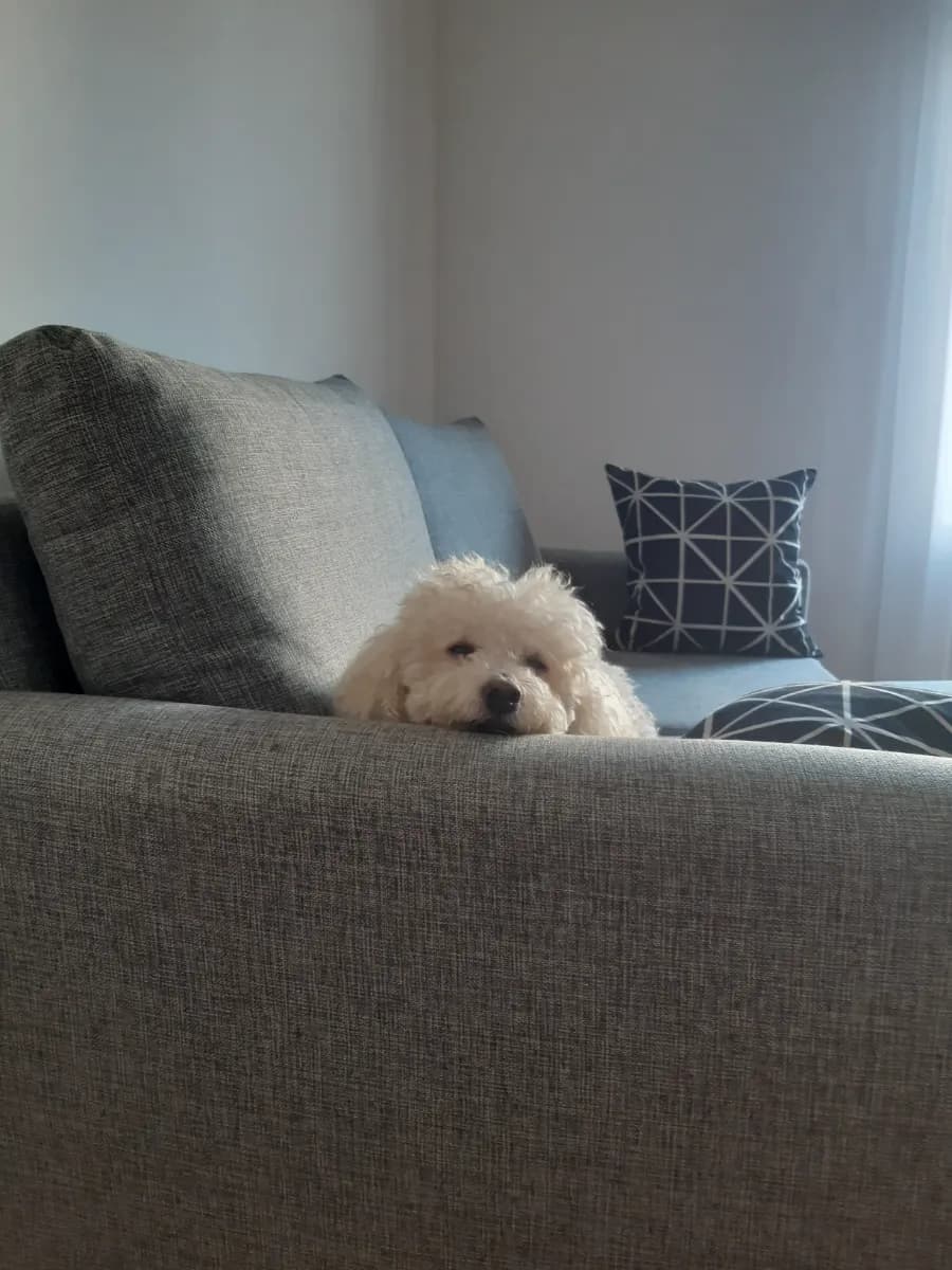Foto de Agustina R.