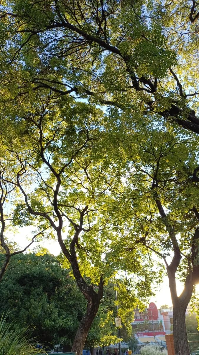 Guadalupe P. 13