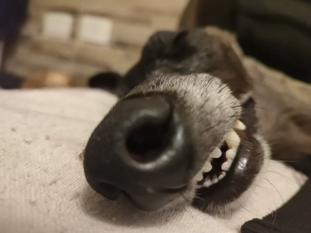 Juliana C. 7