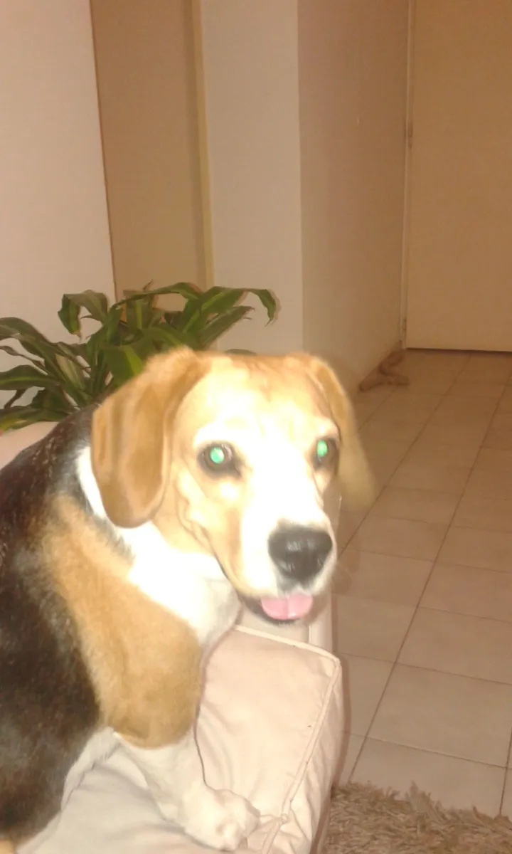Fabiana S. 6