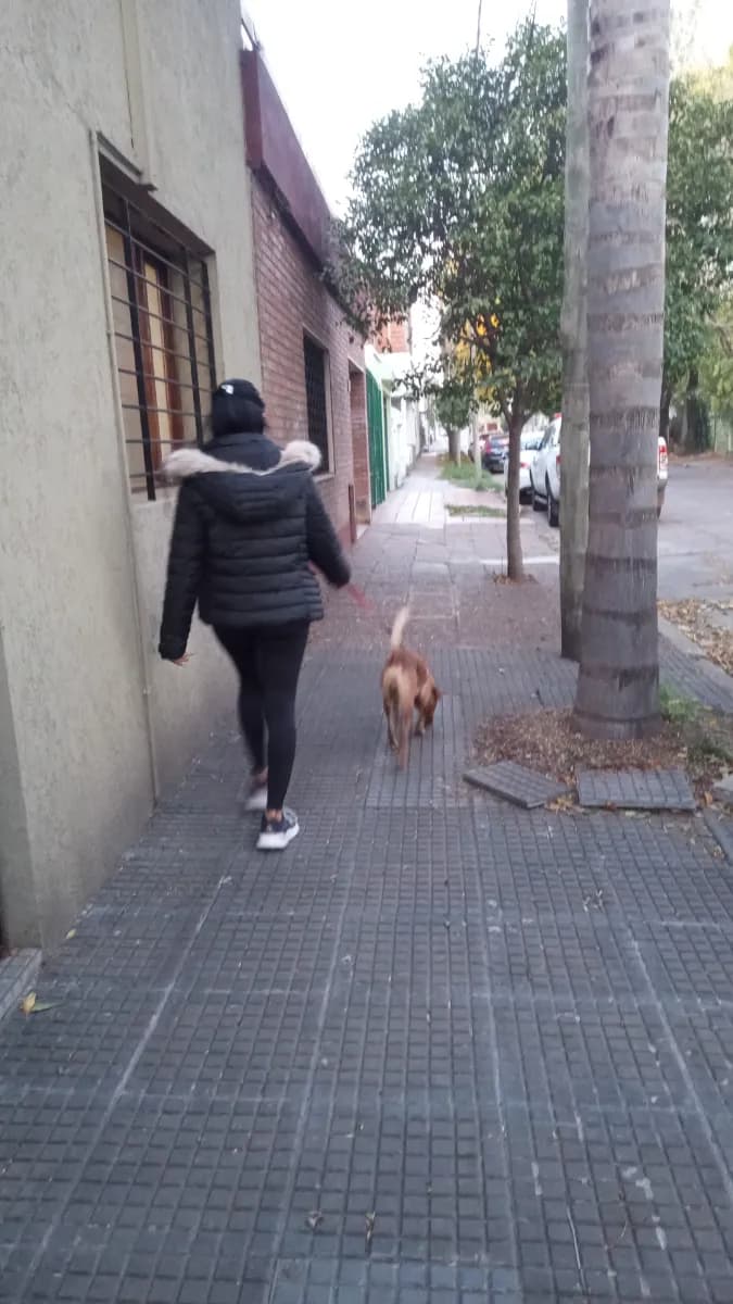 Brisa F. 2