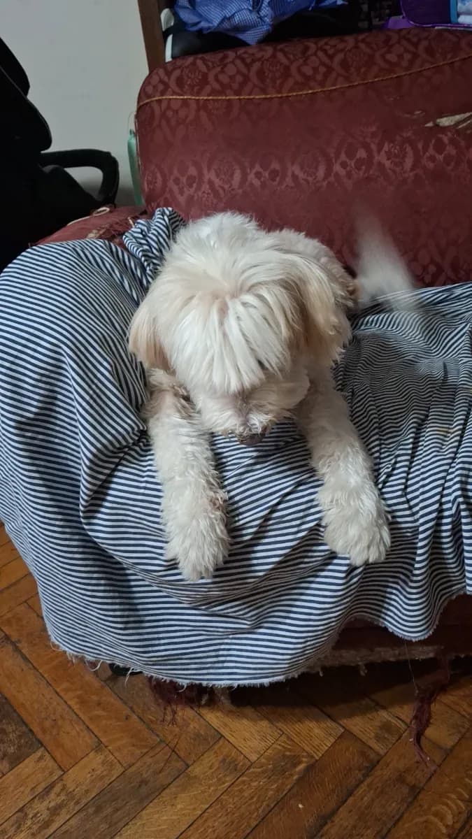 Foto de Romina A.