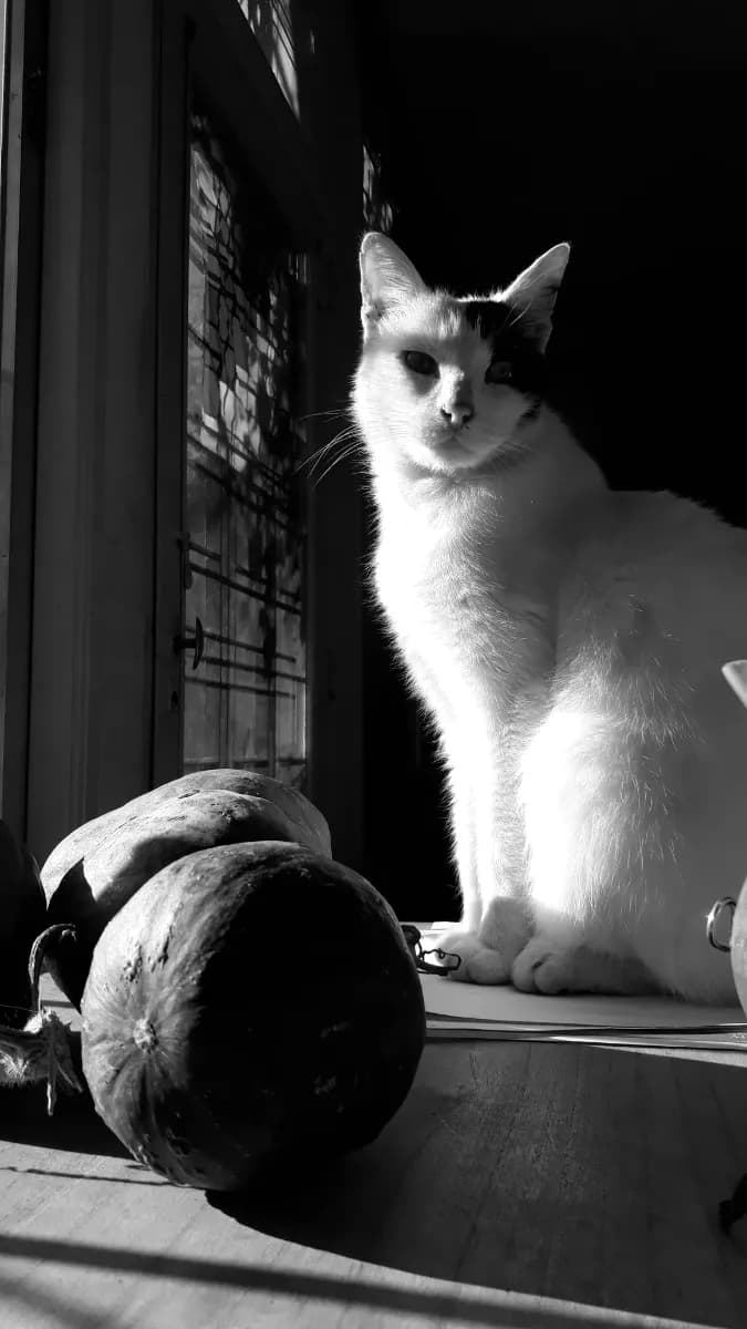Foto de Luna Abril O.