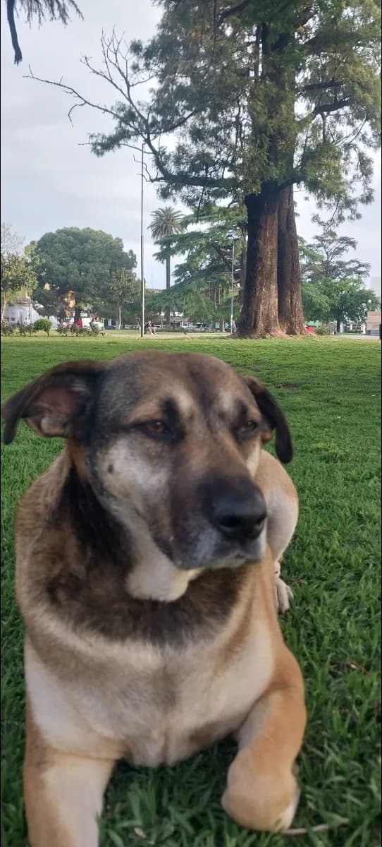 Foto de Milagro A.