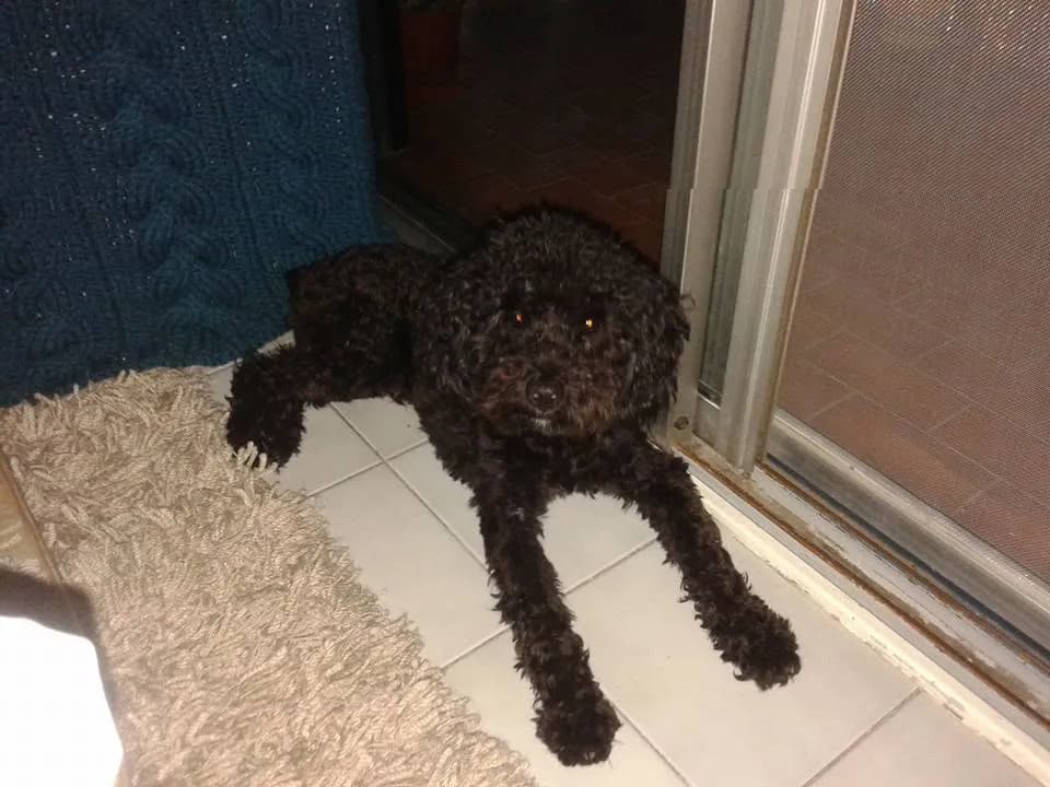 Foto de Fabiana S.