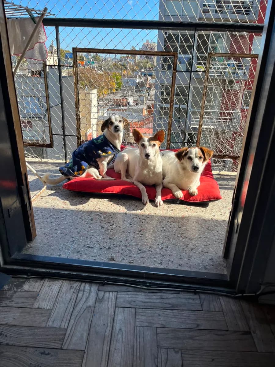Foto de Melu A.