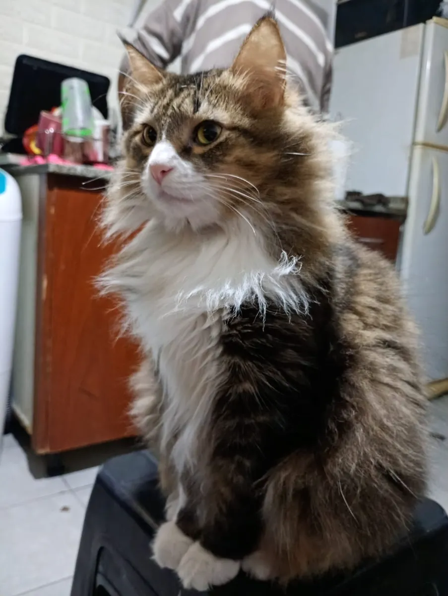 Foto de Karen M.